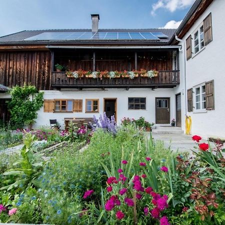 Ferienwohnung Lacherhof Seehausen am Staffelsee Ngoại thất bức ảnh