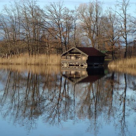 Ferienwohnung Lacherhof Seehausen am Staffelsee Ngoại thất bức ảnh