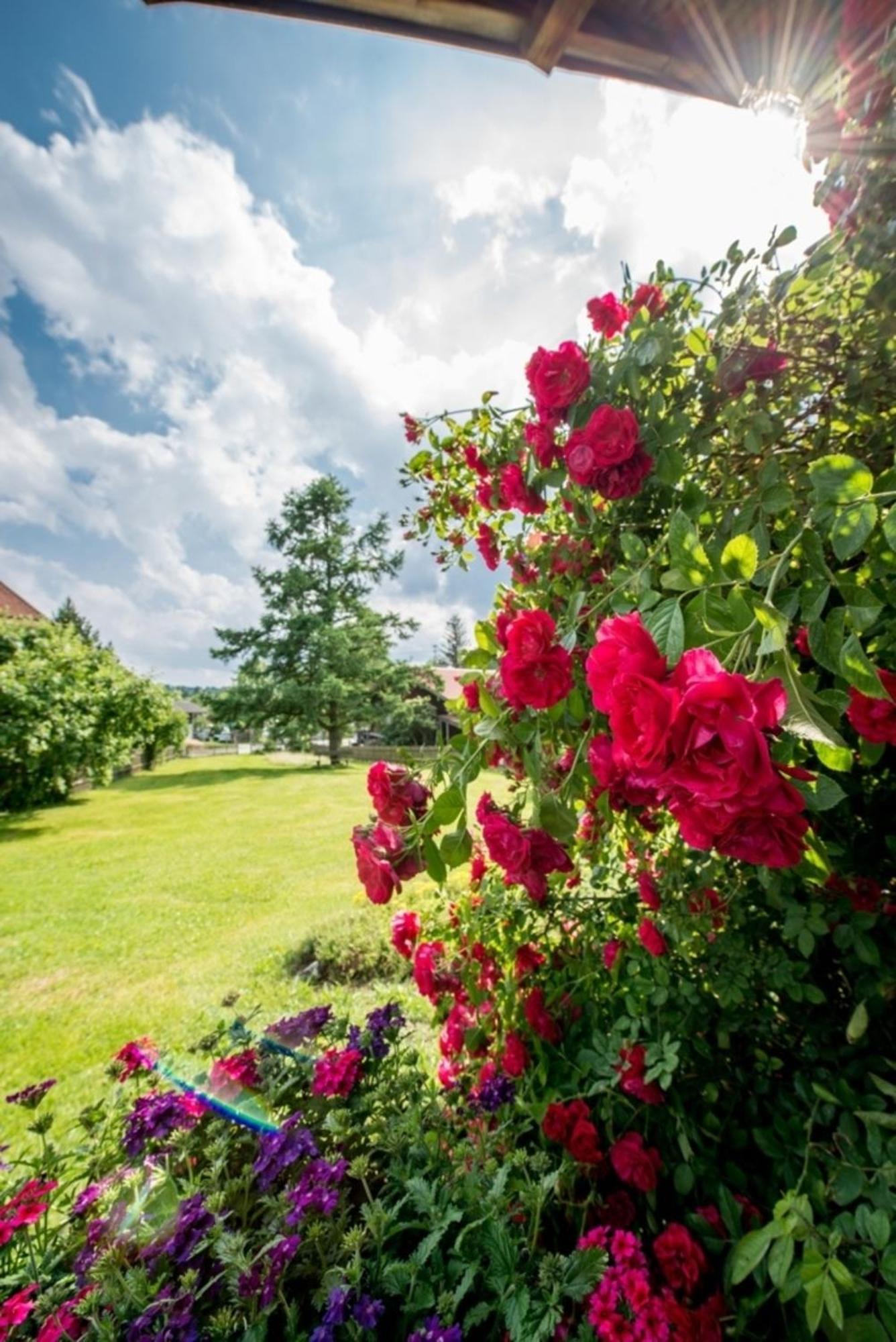 Ferienwohnung Lacherhof Seehausen am Staffelsee Ngoại thất bức ảnh